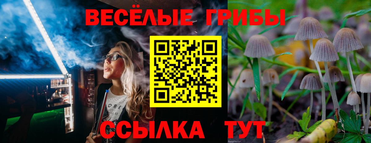 Псилоцибиновые грибы MAGIC MUSHROOMS  Вход с VPN  Псилоцибиновые грибы Cubensis  Сосновоборск 